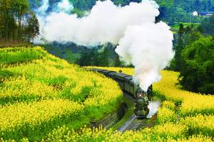 【3.7-16】穿越花海的小火车、宜宾李庄古镇、乐山大佛、蜀南竹海、兴文石海、骑龙坳云海、自贡花灯休闲10日慢游