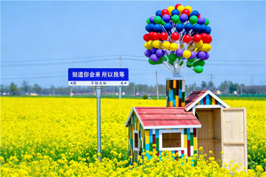 清明2日【明水古城】齐鲁大地咽喉明珠+平陵油菜花+趵突泉+大明湖+芙蓉街/宽厚里 