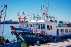 周六/日【出海打渔】238元渤海湾包船出海+体验一次渔民生活+现场加工品新鲜海鲜 