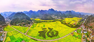 【春日来信5日】春季限定80万亩油菜花+兴义万峰林+黄果树瀑布+花江峡谷大桥+马岭河大峡谷