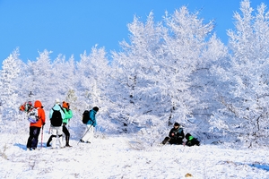 2月7号/2月8号【桦皮岭】精华版8Km穿越+徒步踏雪+森林与雪原的完美结合+感受冬日浪漫（初级）