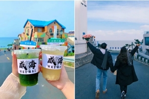 春节4日【威海•烟墩角天鹅湖】打卡威海冬日海岸线+看天鹅舞动+布鲁维斯沉船+中国最东端成山头