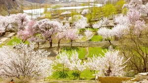 6人小车团【花开木吉8日】喀什古城+木吉火山口+慕士塔格冰川+白沙湖+帕米尔+塔莎古道+红其拉甫国门+杏花村+盘龙古道