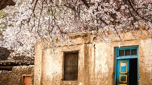 6人小车团【杏运塔莎8日】塔莎古道+高原杏花+塔吉克家访+换装体验+木吉火山口+白沙湖+莎车老城+盘龙古道+班迪尔蓝湖