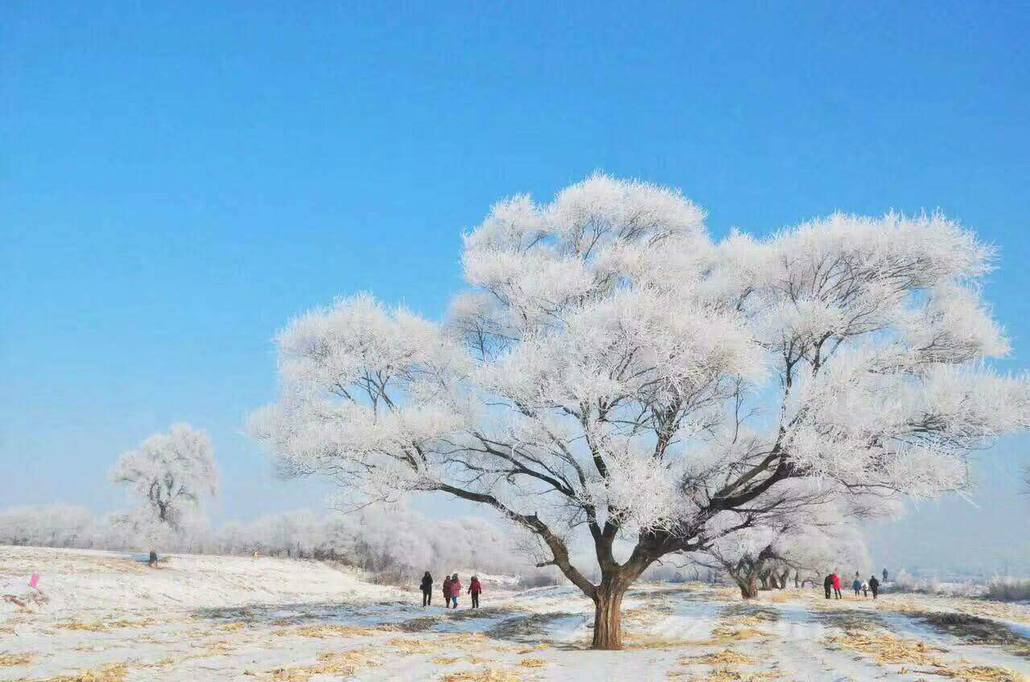 [同舟户外]美丽的雪乡雪谷滑雪旅游 吉林 雪谷 雪乡 滑雪 穿越雾凇岛