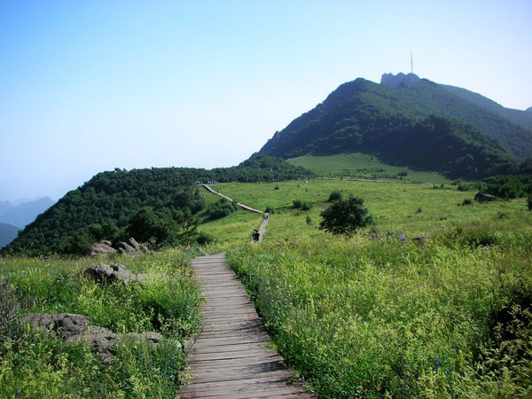 百花山图片