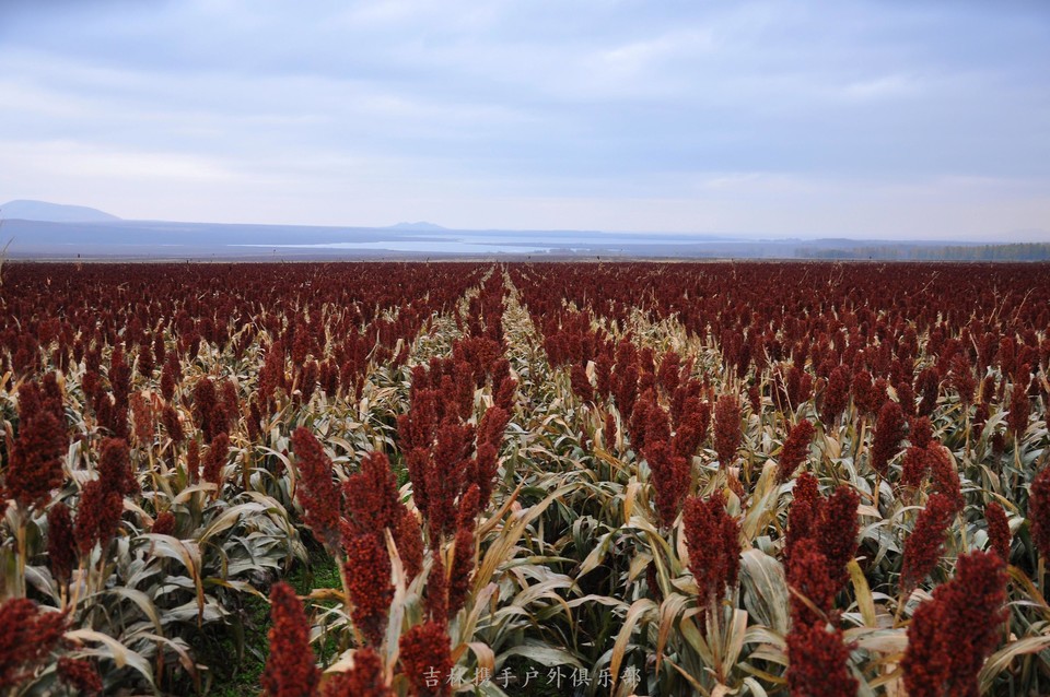 五大连池 (7).jpg