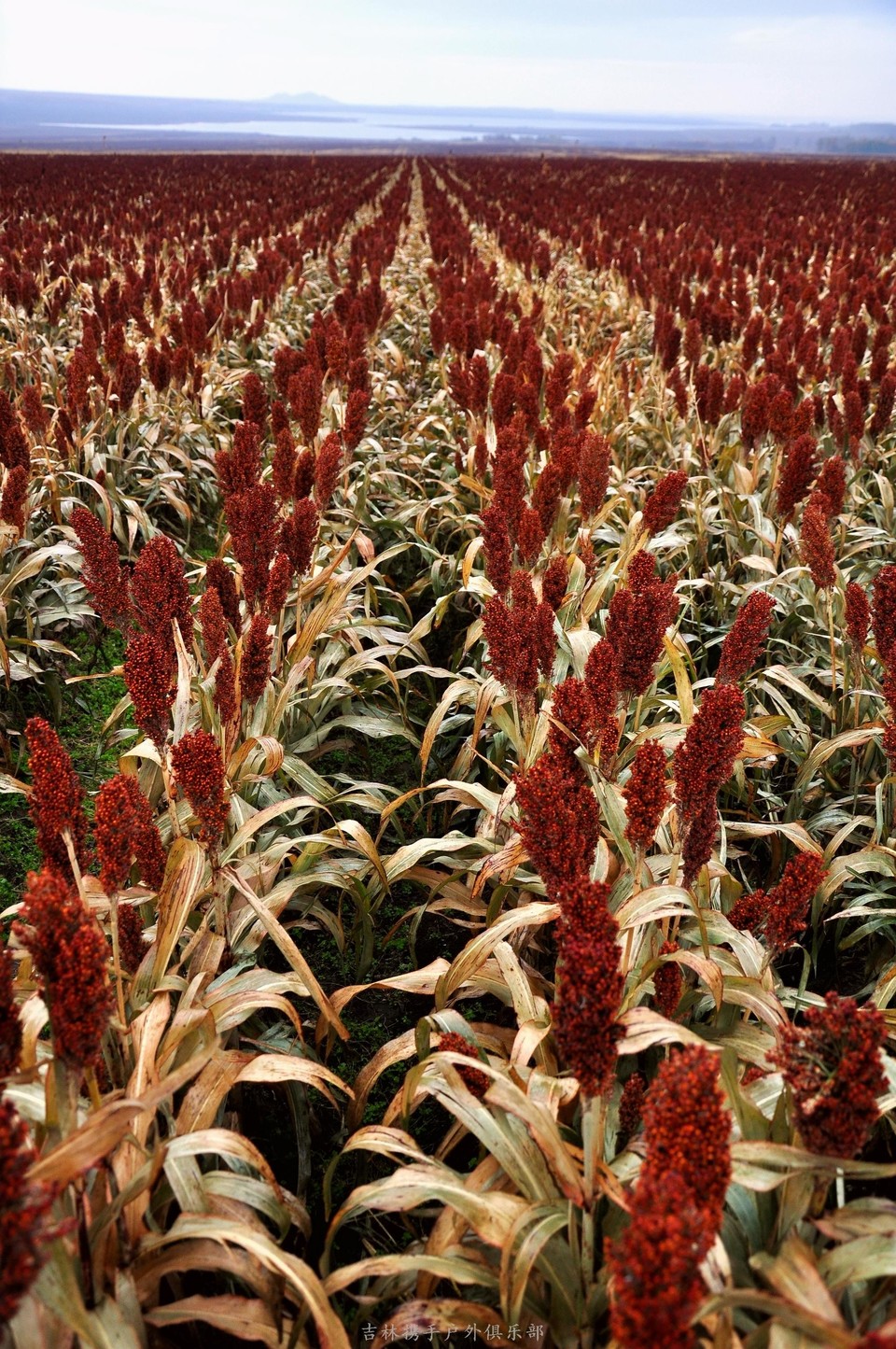 五大连池【竖版】 (41).jpg