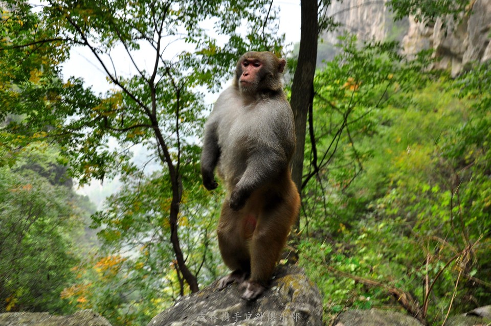 72拐【白经古道】 (5).jpg