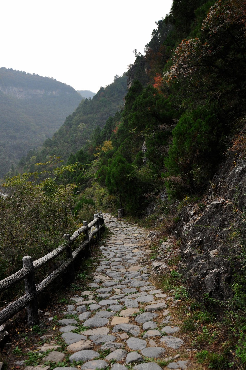 72拐【白经古道】 (40) - 副本.jpg