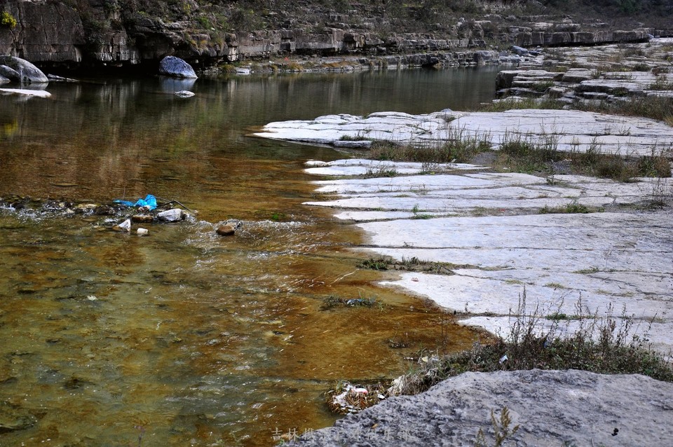 红豆杉大峡谷 (15).jpg