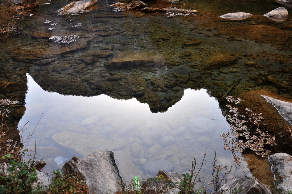 红豆杉大峡谷 (21).jpg