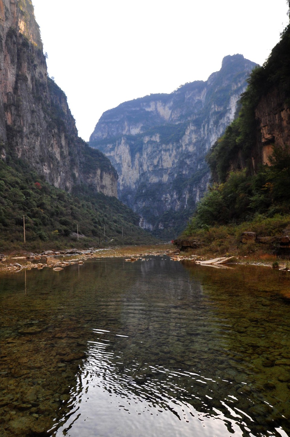 红豆杉大峡谷 (41).jpg