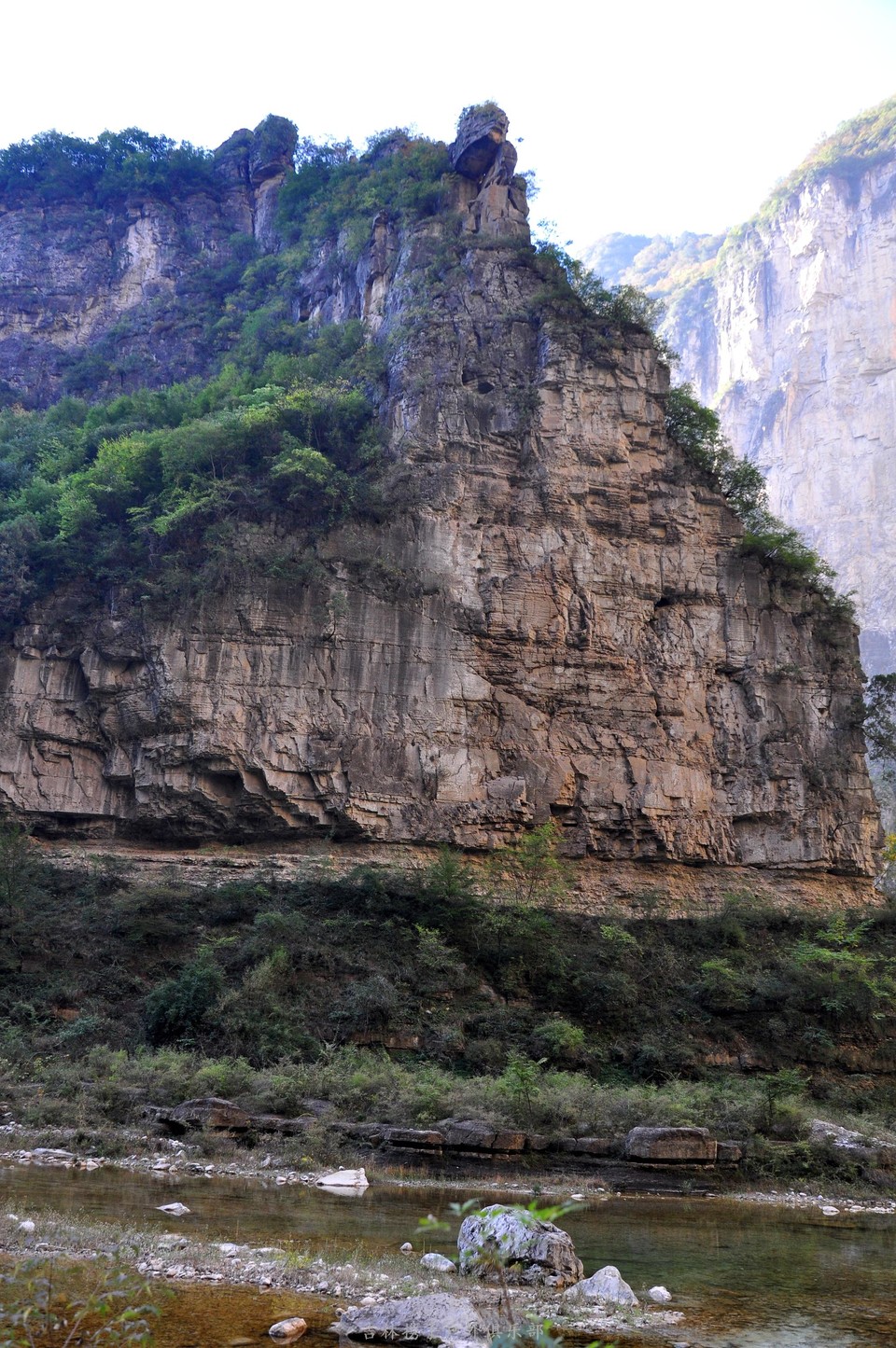 红豆杉大峡谷 (43).jpg