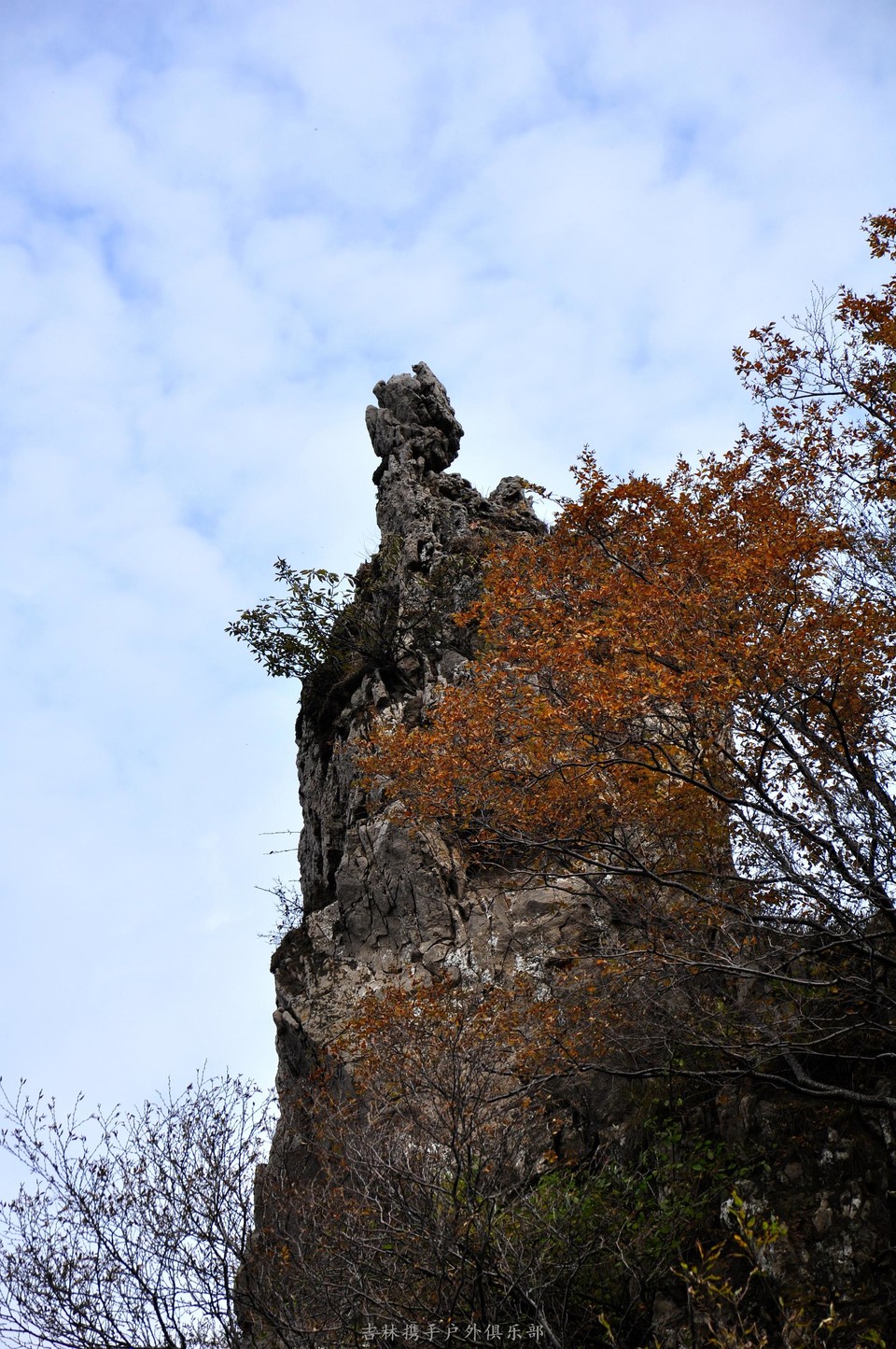 王莽岭 (44) - 副本.jpg