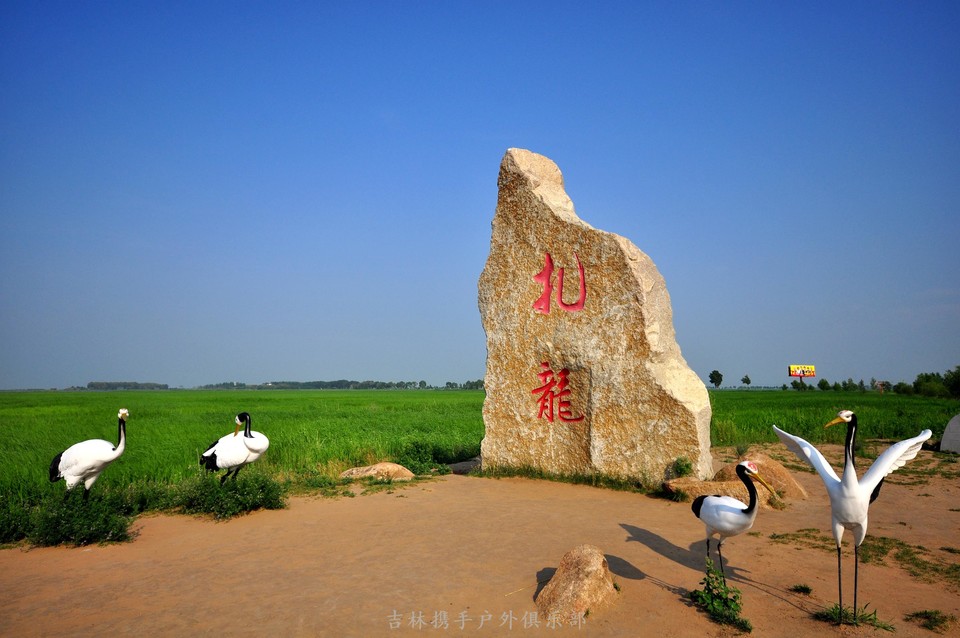 扎龙湿地 (1).jpg