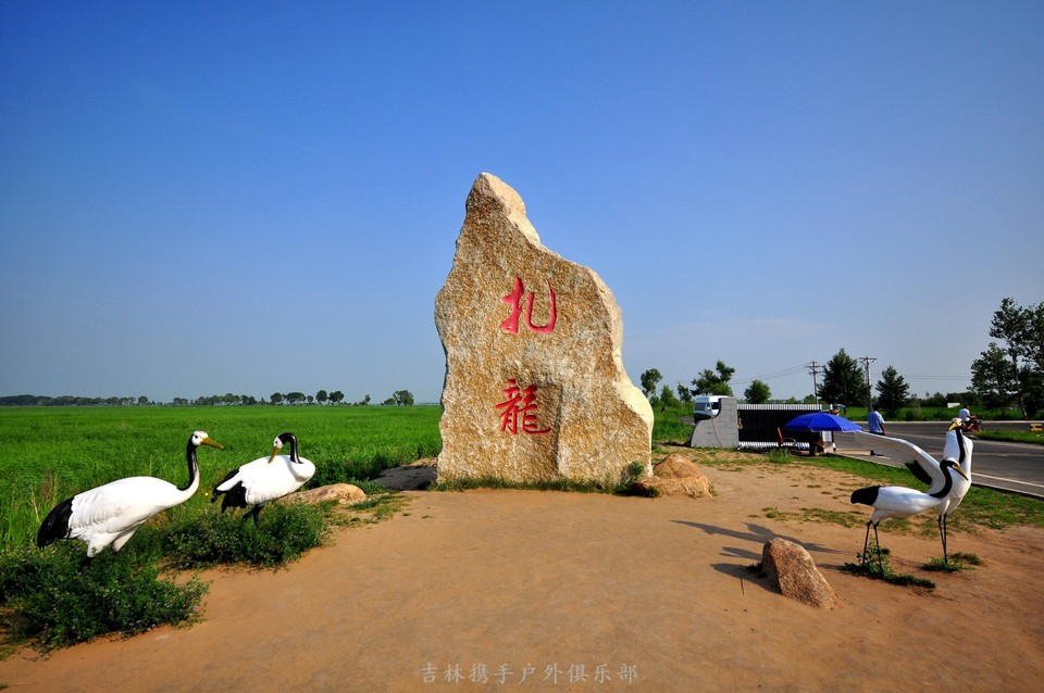 扎龙湿地 (2).jpg