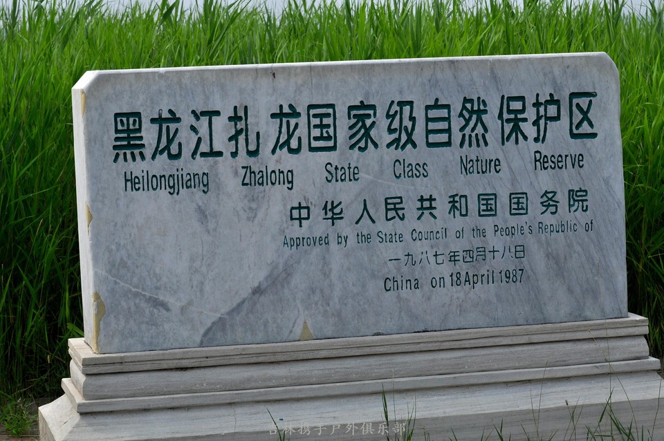 扎龙湿地 (3).jpg