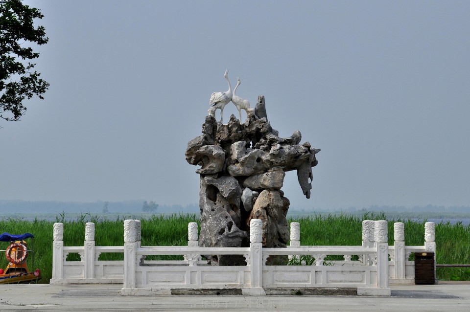 扎龙湿地 (6).jpg