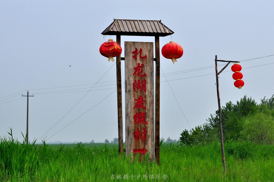 扎龙湿地 (7).jpg