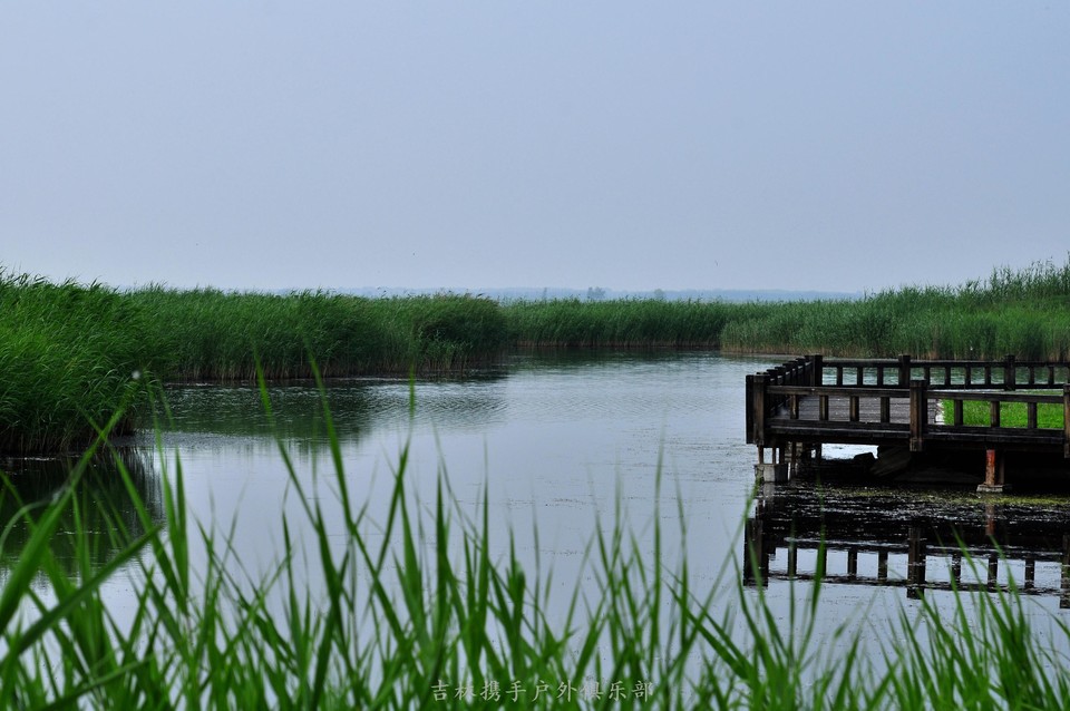 扎龙湿地 (15).jpg