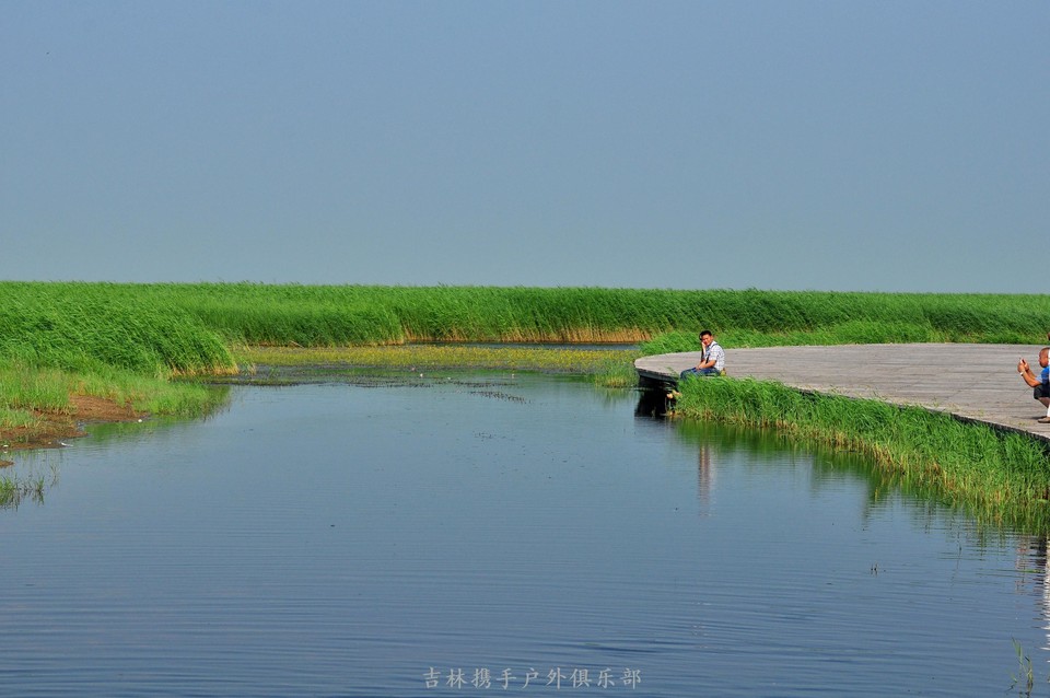 扎龙湿地 (22).jpg