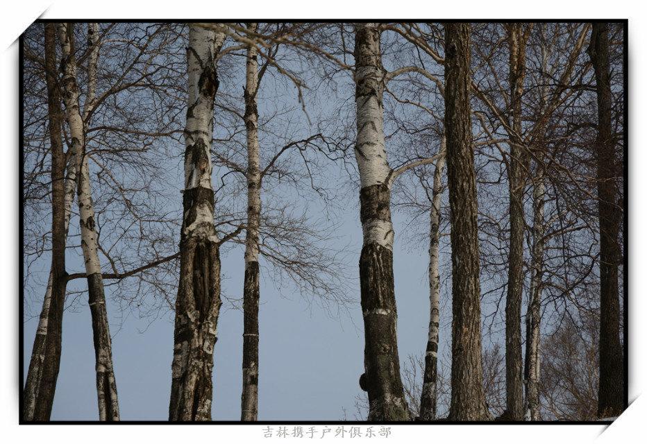 2015年12月12日雪乡游（江山拍）