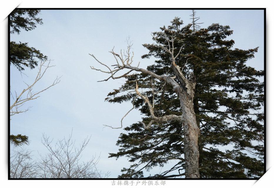 2015年12月12日雪乡游（江山拍）