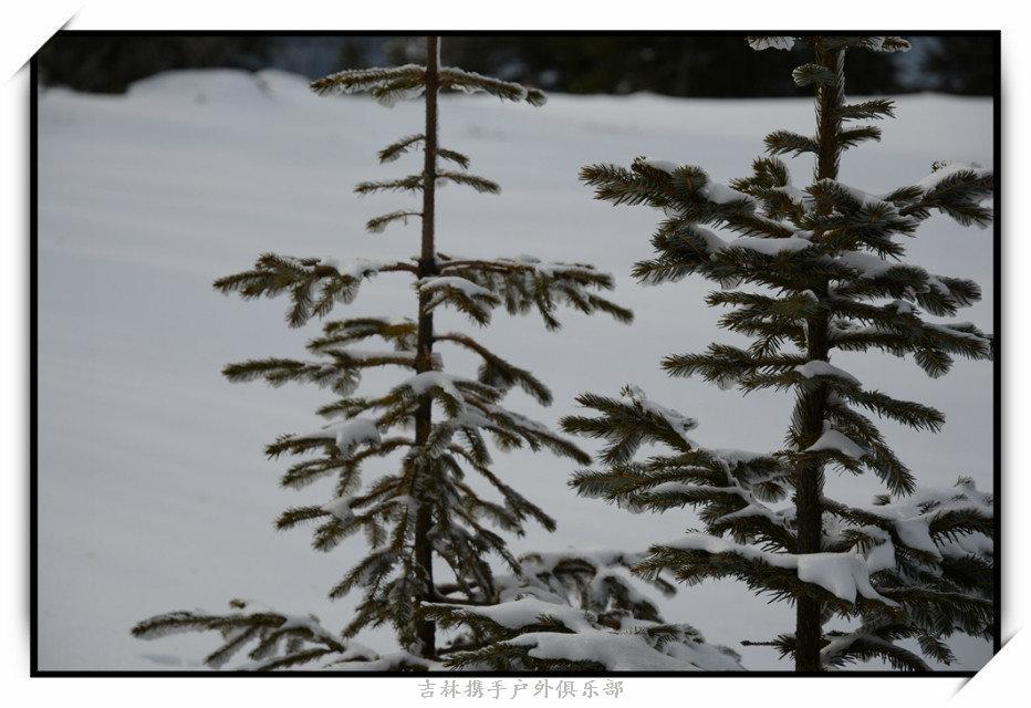 2015年12月12日雪乡游（江山拍）