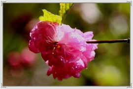 QQ图片20160426130613