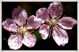 QQ图片20160426130623