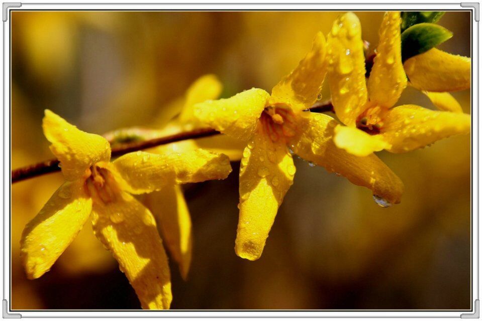 QQ图片20160426130627