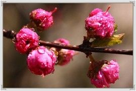 QQ图片20160426130631