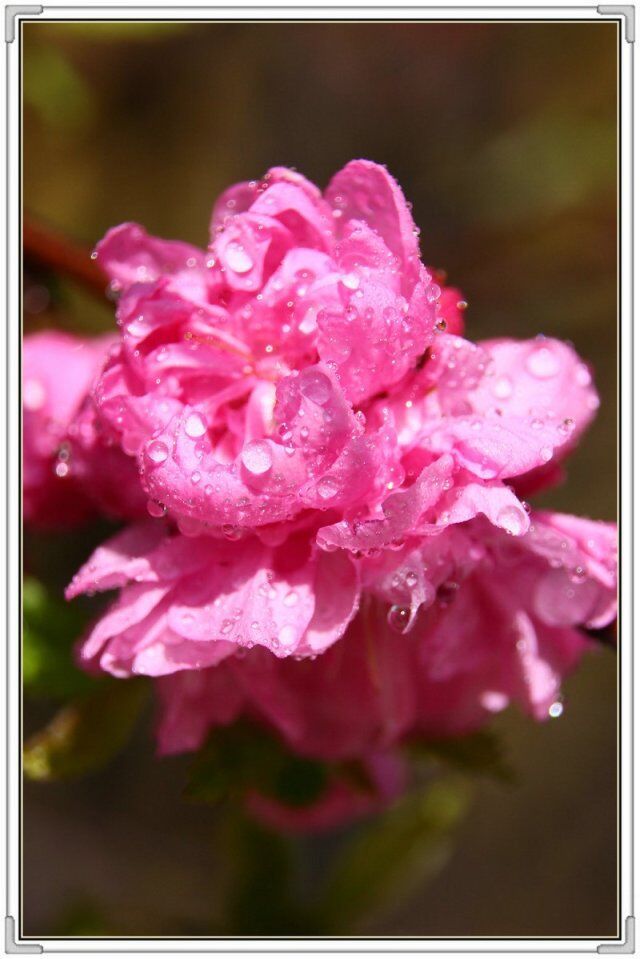 QQ图片20160426130635