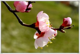 QQ图片20160426130658