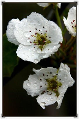 QQ图片20160426130702