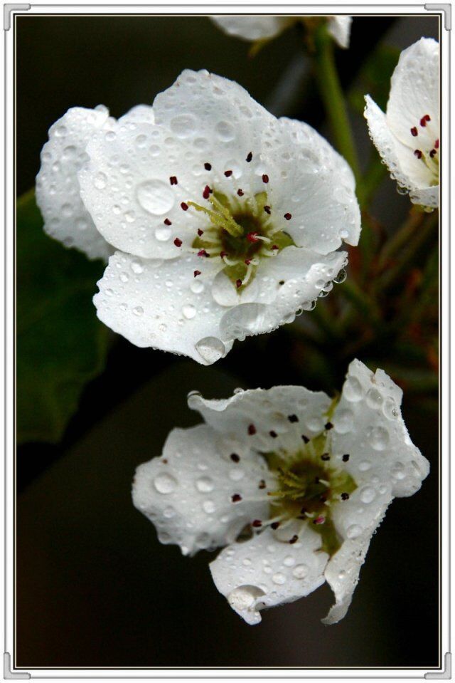 QQ图片20160426130702