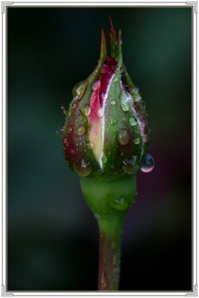 QQ图片20160426130707