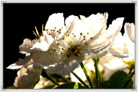 QQ图片20160426130714