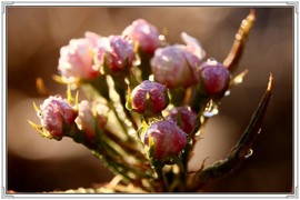 QQ图片20160426130717