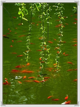 QQ图片20160426130728