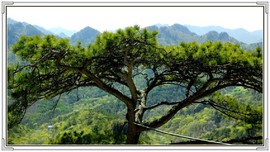 QQ图片20160426130751