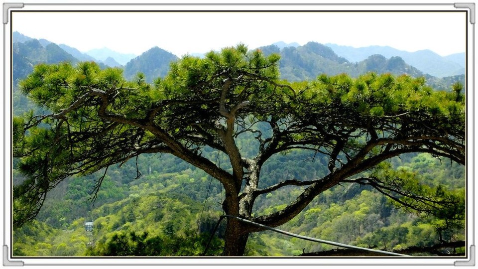 QQ图片20160426130751