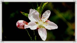 QQ图片20160426130756