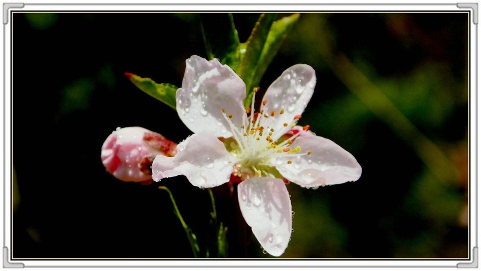 QQ图片20160426130756