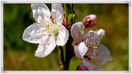 QQ图片20160426130800