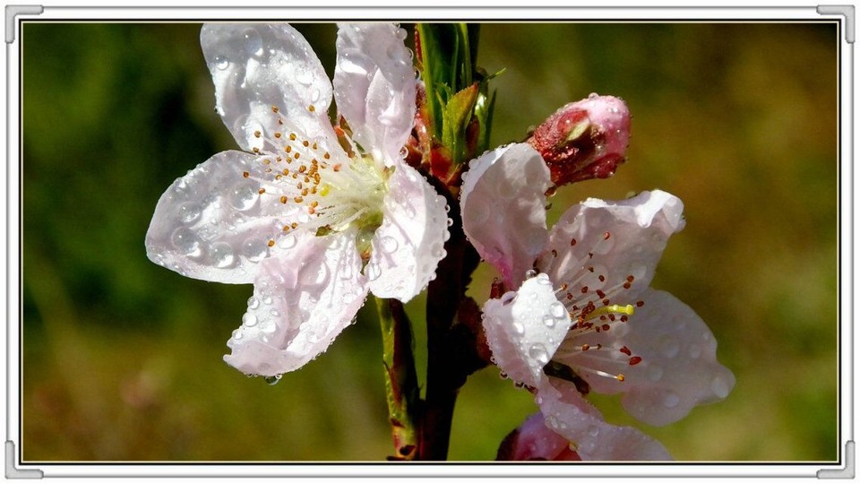 QQ图片20160426130800