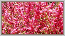 QQ图片20160426130808