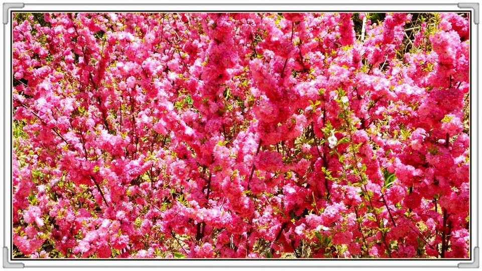 QQ图片20160426130808