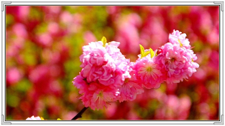 QQ图片20160426130812